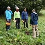 Kraeuterbaude 3*