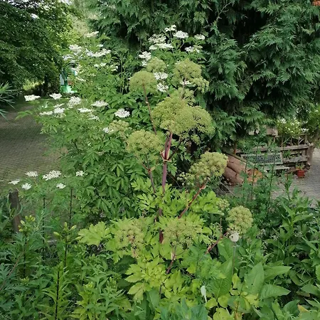 Kraeuterbaude Saupsdorf