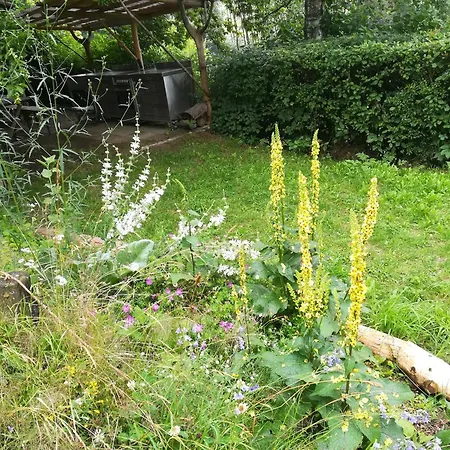 Kraeuterbaude Guest house