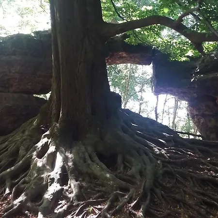 Guest house Kraeuterbaude 3*