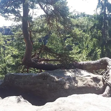 Kraeuterbaude Guest house Saupsdorf