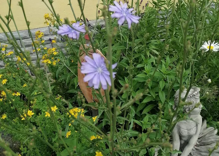 Pensionat Kraeuterbaude 3*