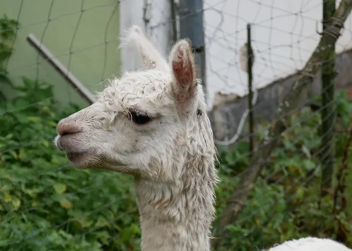 Kraeuterbaude Pensionat