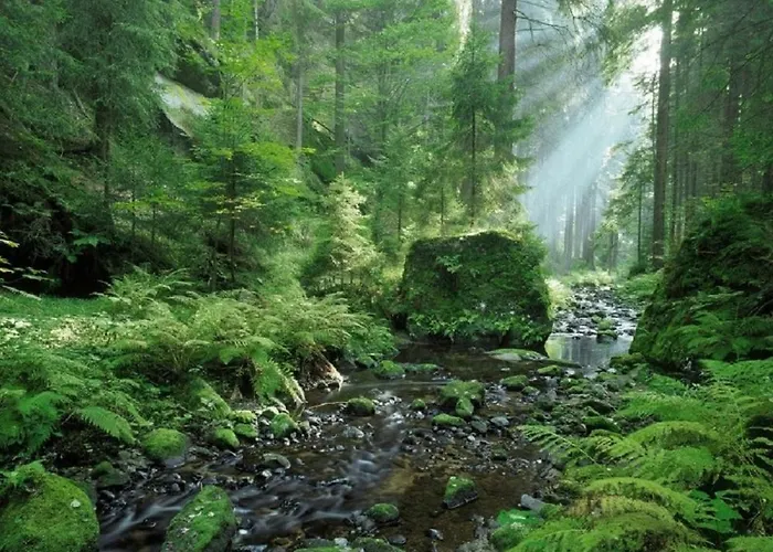 Pensionat Kraeuterbaude Saupsdorf