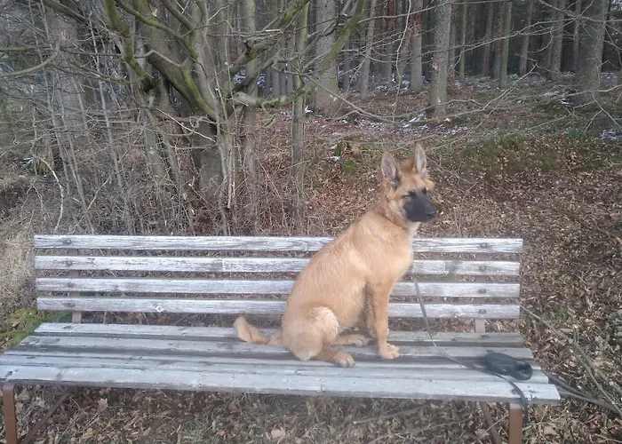 Kraeuterbaude 3* Saupsdorf