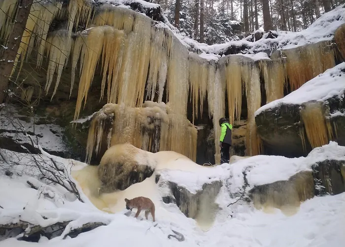 Pensionat Kraeuterbaude 3*