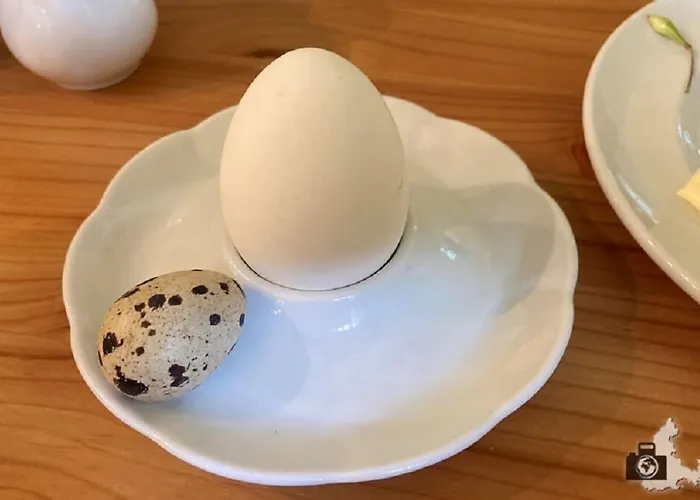 Pensionat Kraeuterbaude