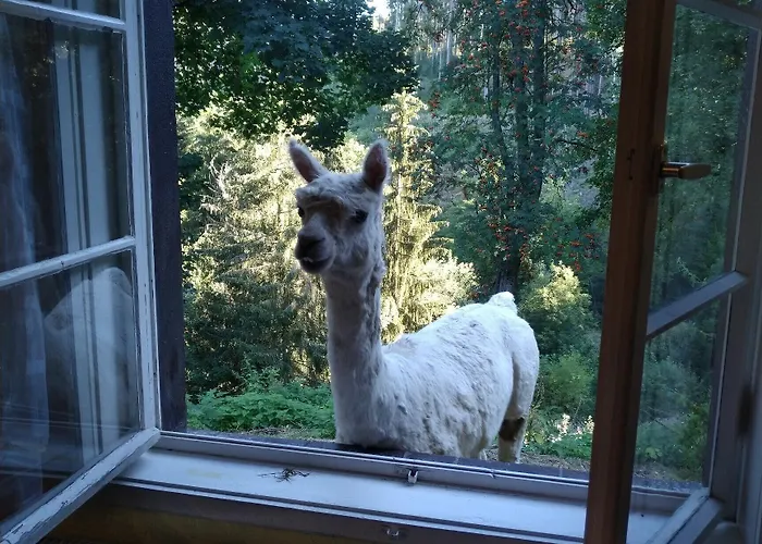 Kraeuterbaude Saupsdorf