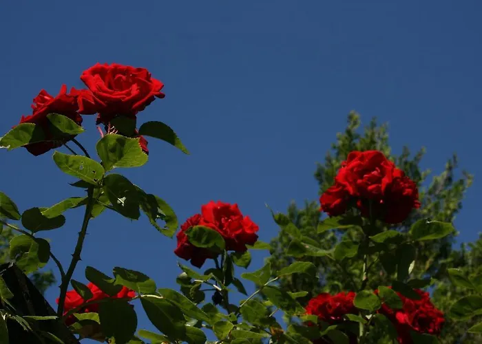 Kraeuterbaude 3* Saupsdorf