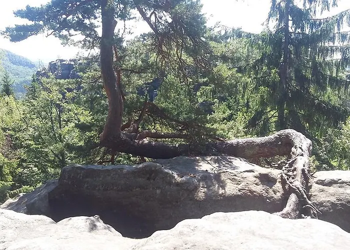 Kraeuterbaude ゲストハウス Saupsdorf