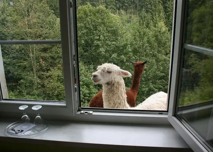 Kraeuterbaude Pensionat Saupsdorf